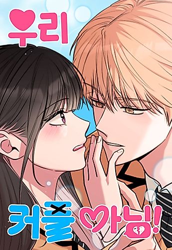 Cover image for We're Not a Couple!