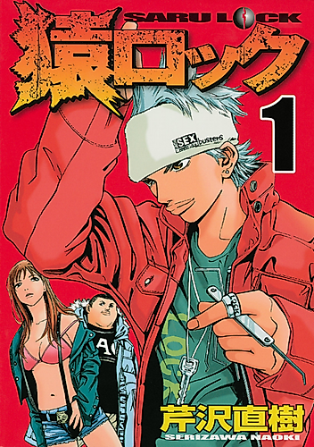 Cover image for Saru Lock