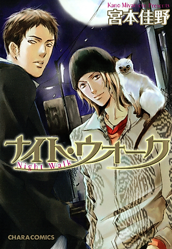 Cover image for Night Walk