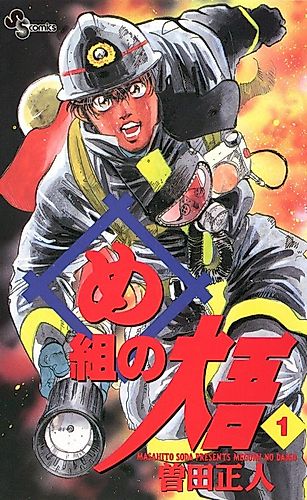 Cover image for Firefighter! Daigo of Fire Company M