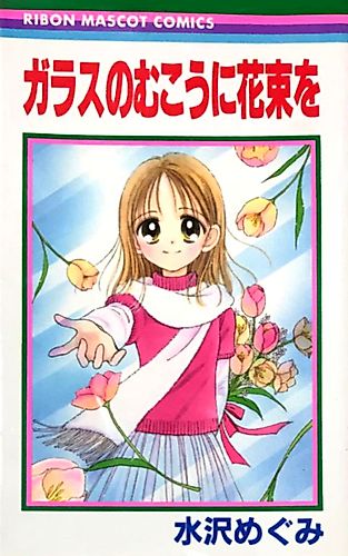 Cover image for The Bouquet on the Other Side of the Glass