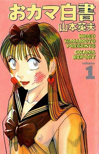 Cover image for Okama Report