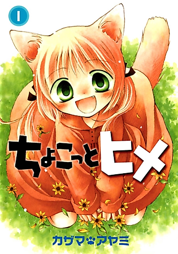 Cover image for Little Princess