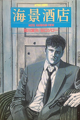 Cover image for Hotel Harbour View