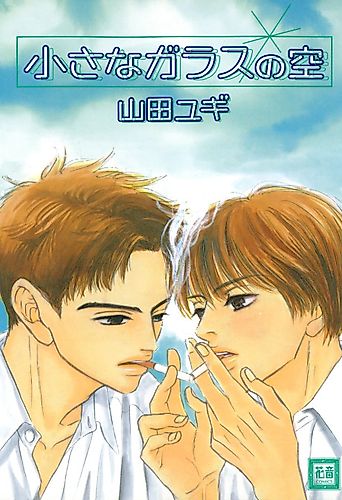 Cover image for Glass Sky