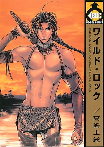 Cover image for Wild Rock