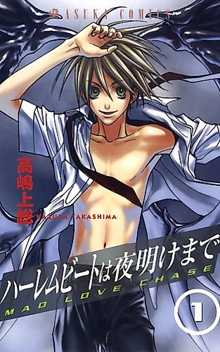Cover image for Mad Love Chase
