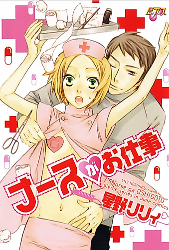 Cover image for The Nurse's Job