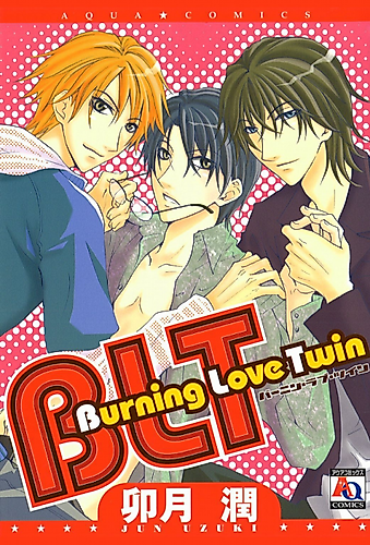 Cover image for BLT Burning Love Twin