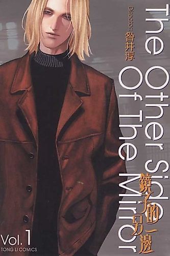 Cover image for The Other Side of the Mirror