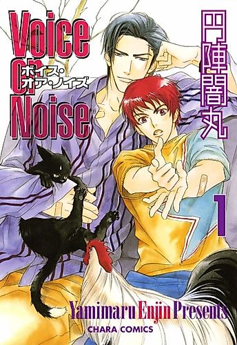 Cover image for Voice or Noise