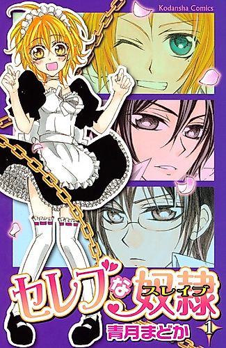 Cover image for Celebrity Slave