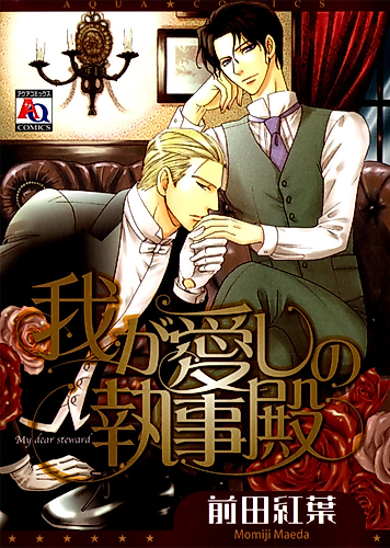 Cover image for Waga Itoshi no Shitsujidono