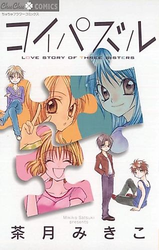Cover image for Love Puzzle