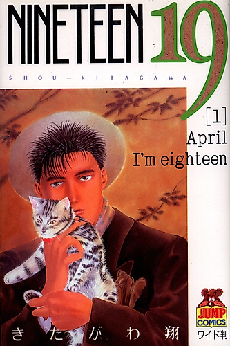 Cover image for Nineteen