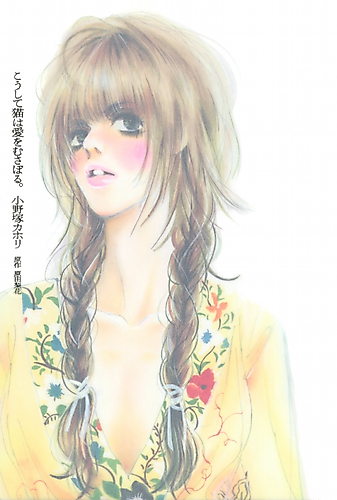 Cover image for Feline Loves
