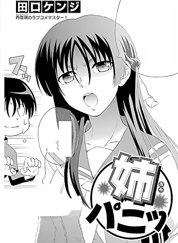 Cover image for Ane Panic