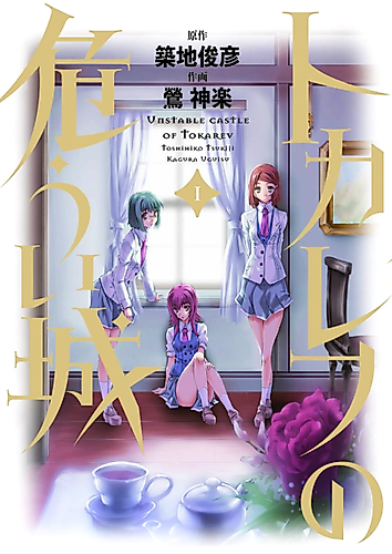 Cover image for Unstable Castle of Tokarev