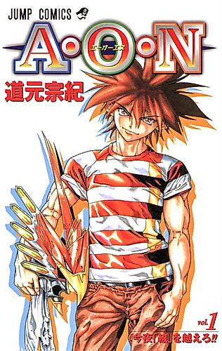 Cover image for AON