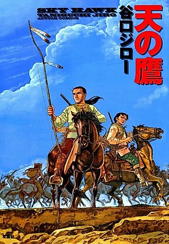 Cover image for Sky Hawk