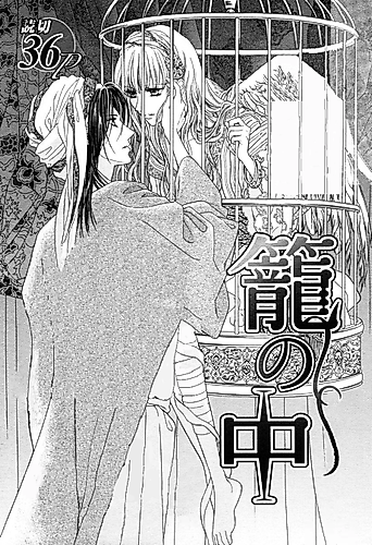 Cover image for In the Cage