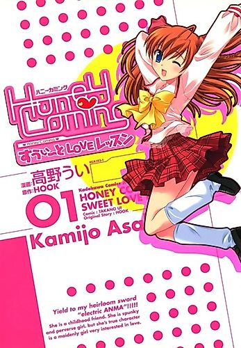 Cover image for Honey Coming - Sweet Love Lesson