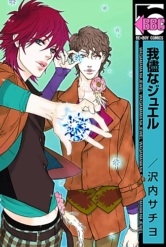 Cover image for A Wanderer's Love