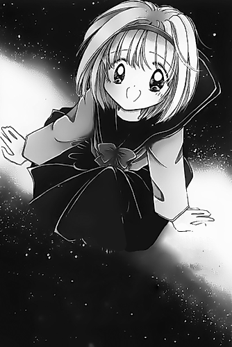 Cover image for The Wildcat Constellation