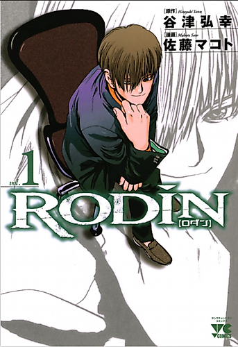 Cover image for RODIN