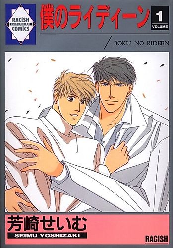Cover image for My Dearest Partner Bideen
