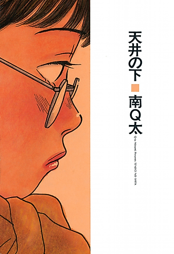 Cover image for Below the Ceiling