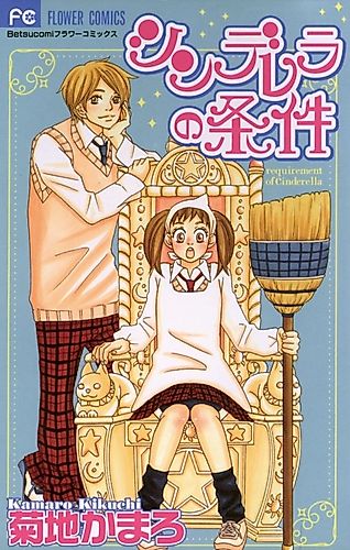 Cover image for Requirement of Cinderella