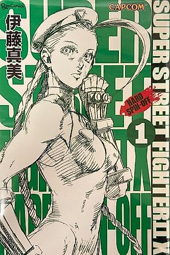 Cover image for Street Fighter Gaiden