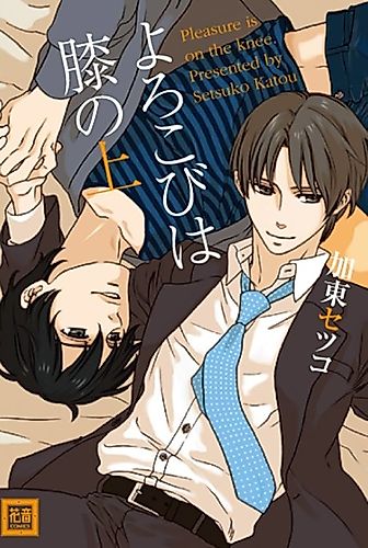 Cover image for Falling in Your Lap