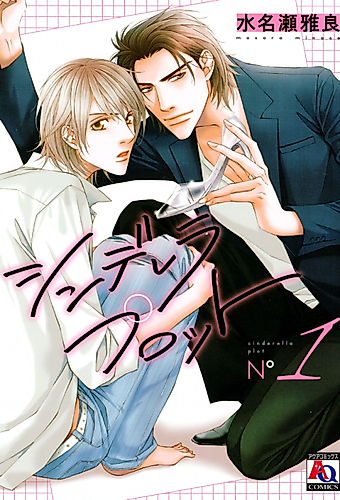 Cover image for Cinderella Plot