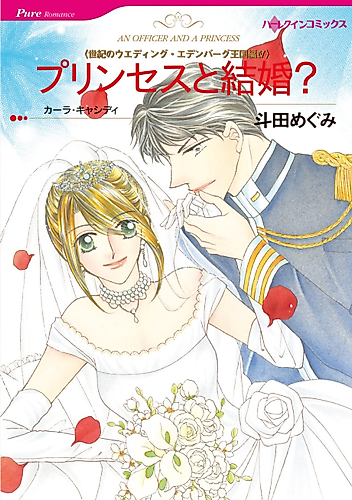 Cover image for An Officer and a Princess