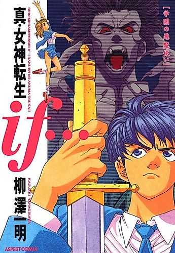 Cover image for Shin Megami Tensei: If...