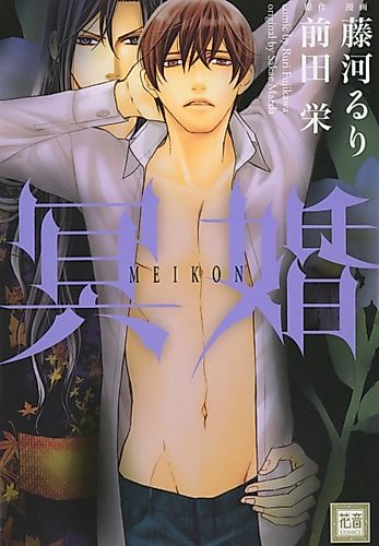 Cover image for Spirit Marriage