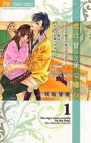 Cover image for My Tiger Boy