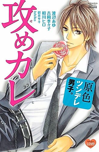 Cover image for Kimi ga Suki PLUS: Pink Passion Version