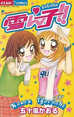 Cover image for Snow Child