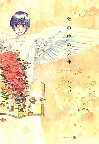 Cover image for The Angel in the Wall