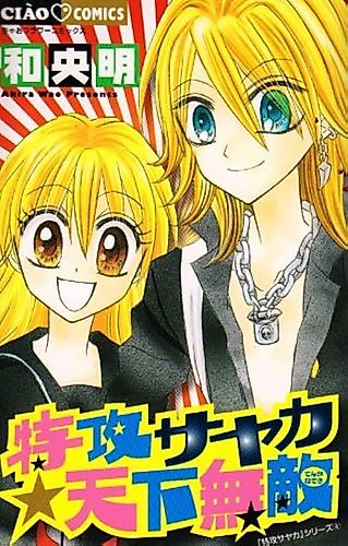 Cover image for Sayaka, The Unbeatable Yankee Girl