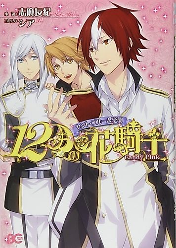 Cover image for Saint Bloom Gakuen: 12 Tsuki no Hanakishi