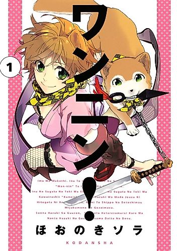 Cover image for Wannin