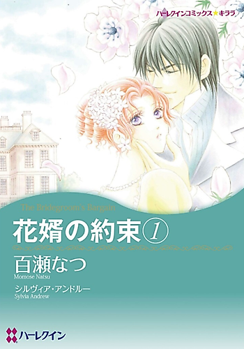 Cover image for The Bridegroom’s Bargain