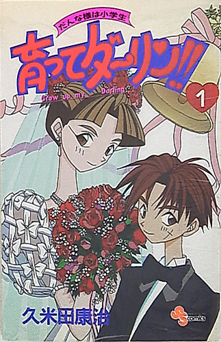 Cover image for Grow up my Darling