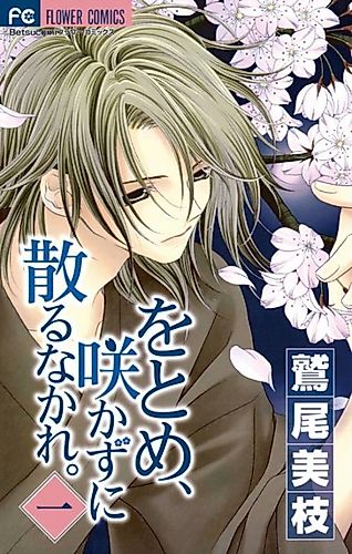 Cover image for Otome