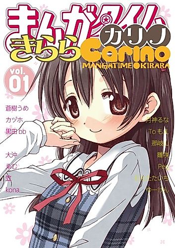 Cover image for The Other Side of the Window