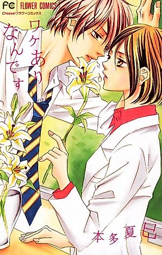Cover image for Wake Ari Nandesu